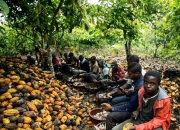 米兰体育-热那亚仍然未能摆脱降级困境，裁判争议不断的简单介绍