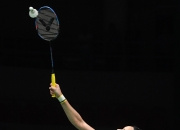 米兰捕鱼-中国队完胜印度队，戴资颖高光表现的简单介绍