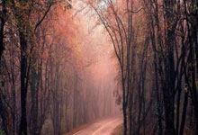 米兰捕鱼-英超进入倒计时！枪手破前或成梦碎