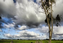 米兰捕鱼-英超进入倒计时！枪手破前或成梦碎