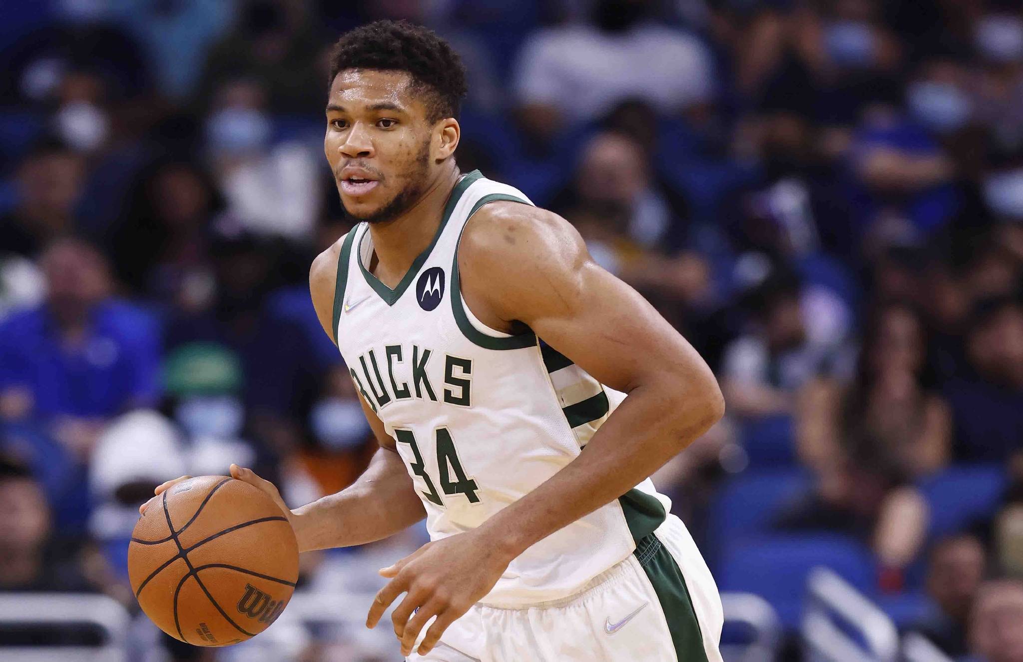 雄鹿近期战绩稳步上升，态势良好