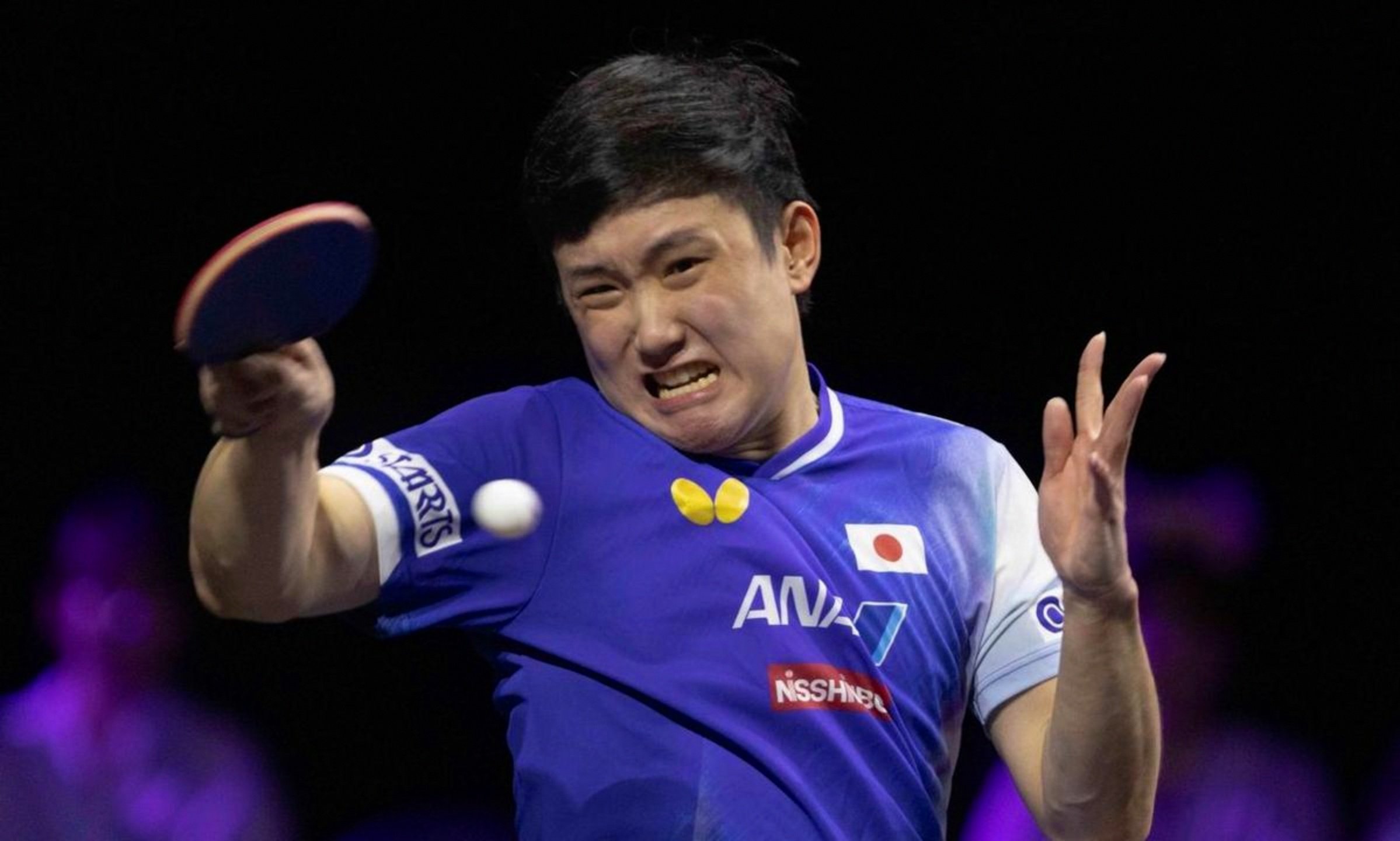 关于中国乒乓球队血洗韩国乒乓球队，张本智和绝境逆转的信息